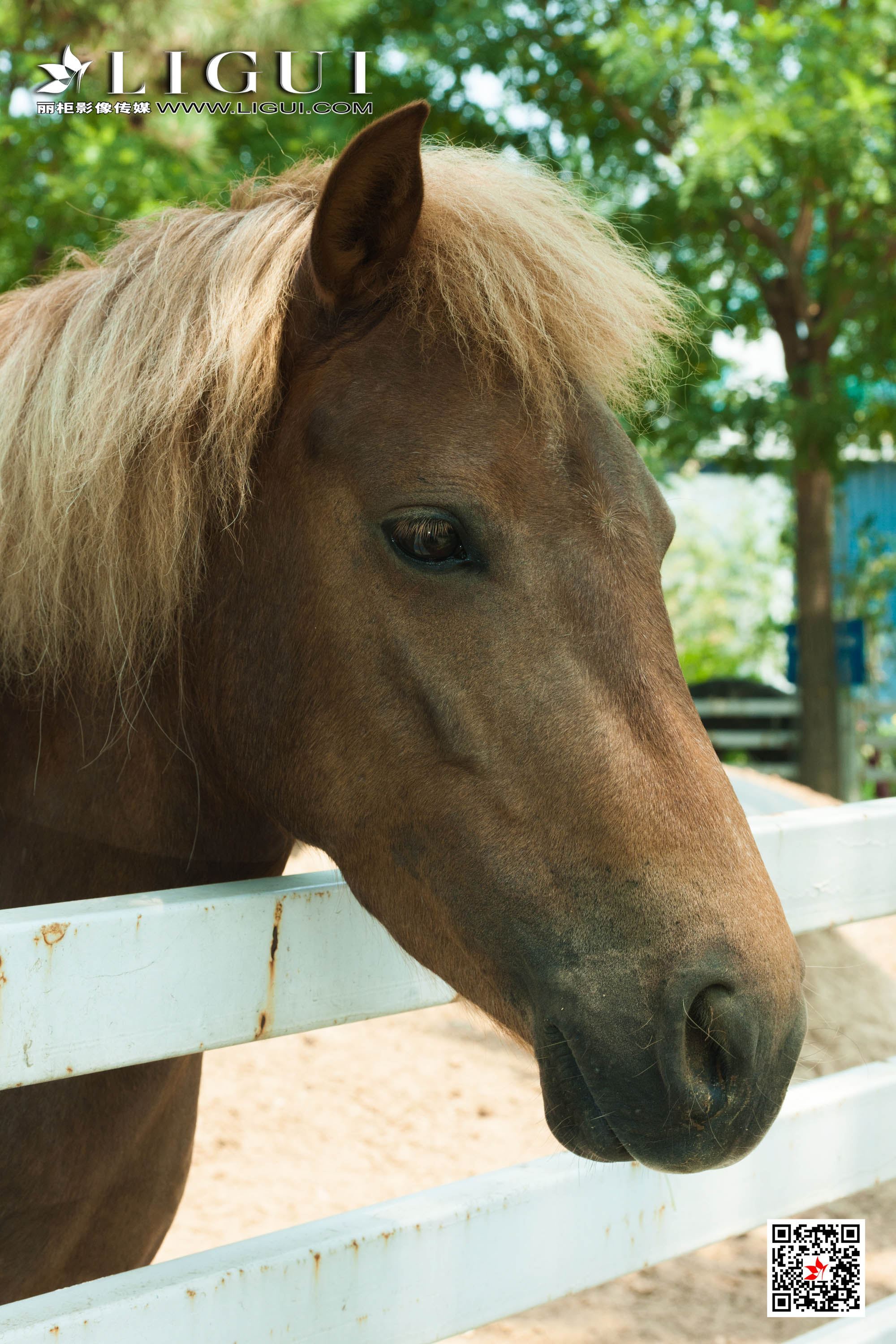 Ligui丽柜  2020.11.08 甜甜&安娜